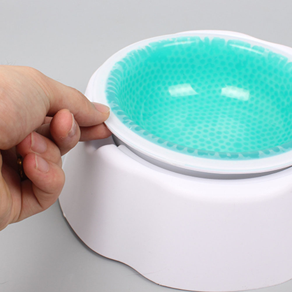 Storage Tips For Food - 1Pcs Pet Cooler Bowl Premium PP