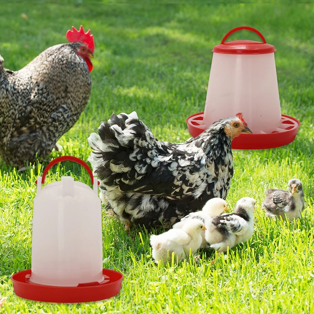 3kg+3L Poultry Feeder And Wate - Portion Control Container review and price