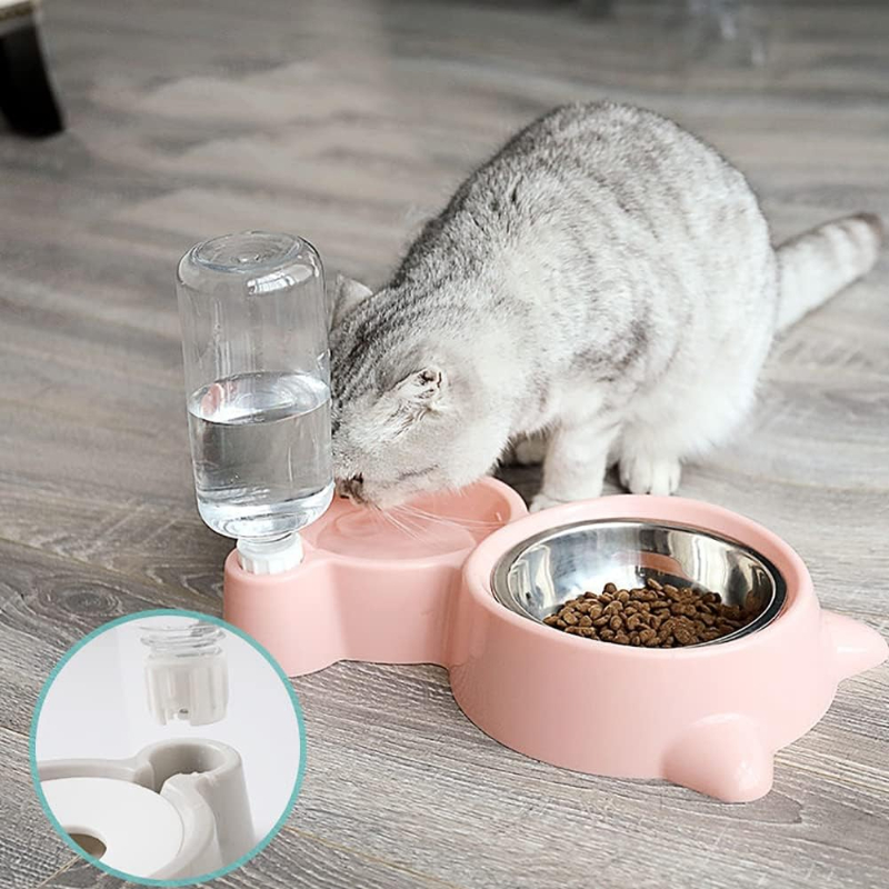 Pet Water Dispenser for Cats a - Portion Control Container review and price