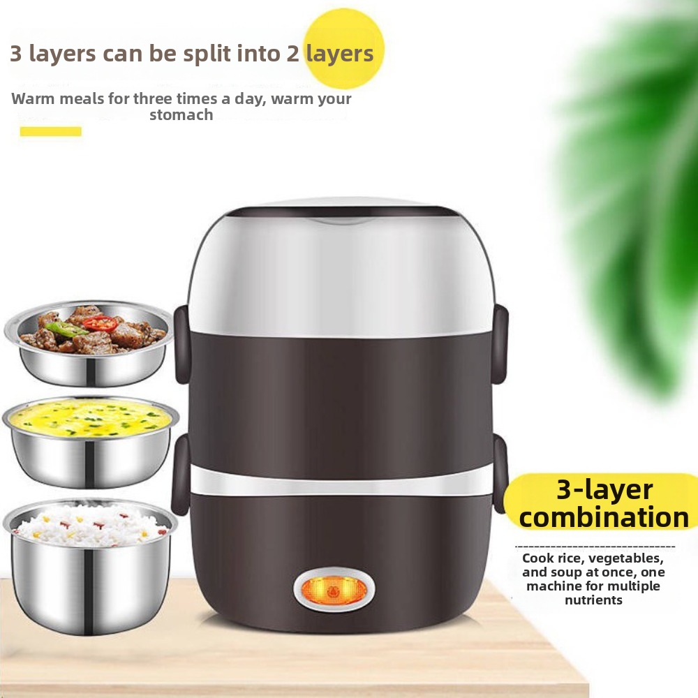 Practical 110V Electric Lunch  - Portable Food Warmer review and price