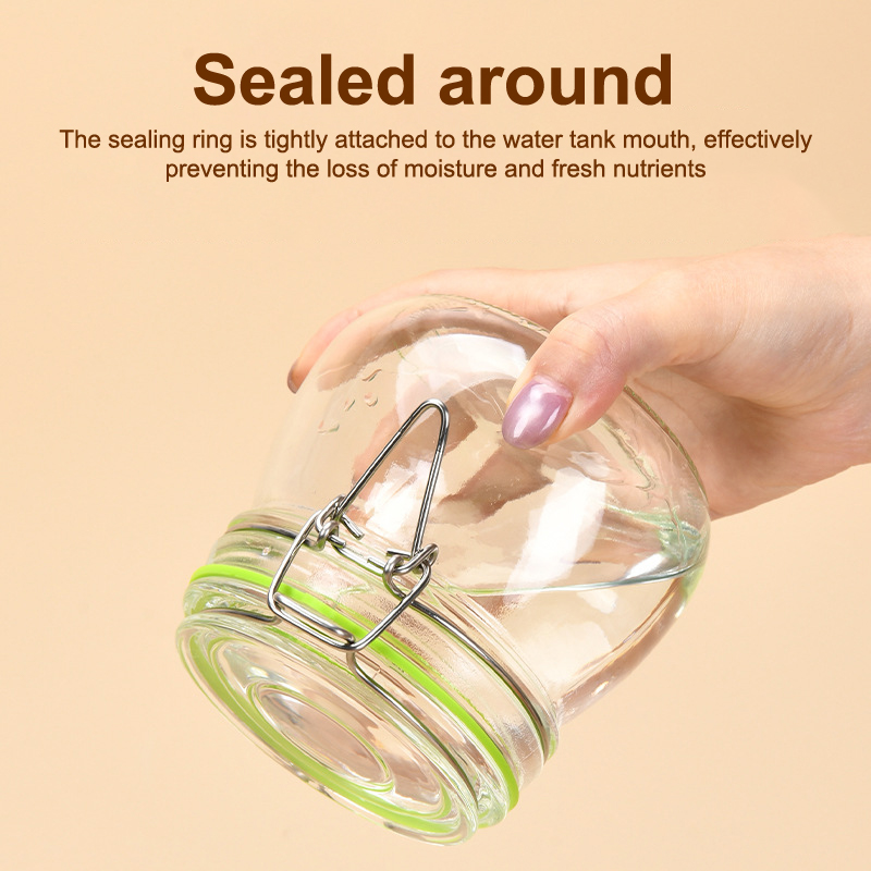 Food Storage Jar Seals 10Pcs S - Food Storage Not Plastic review and price