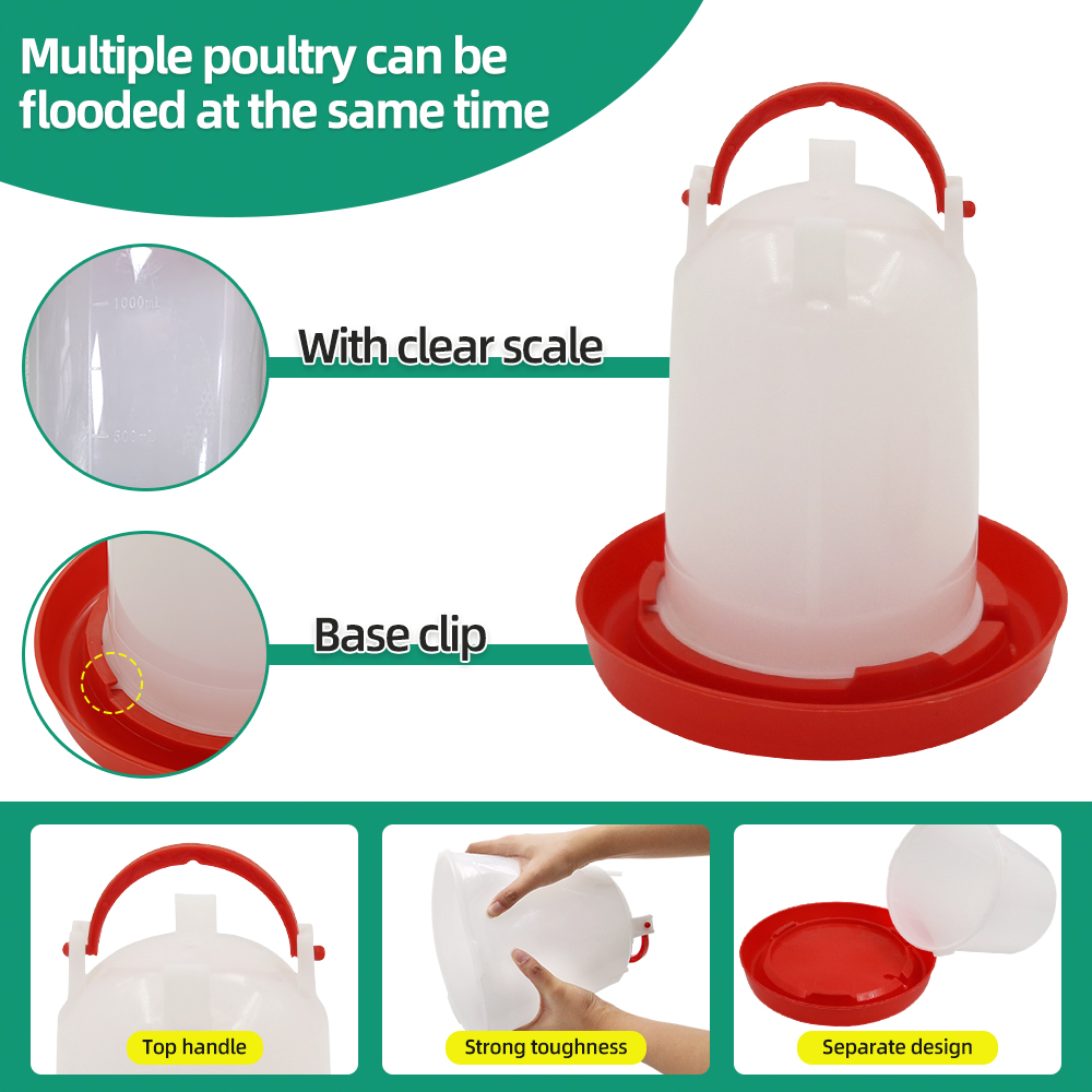 1.5kg 1.5L Poultry Feeder And  - Portion Control Container review and price