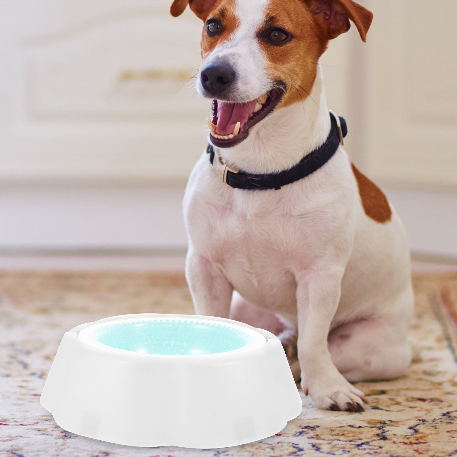 1Pcs Pet Cooler Bowl Premium P - Storage Tips For Food review and price