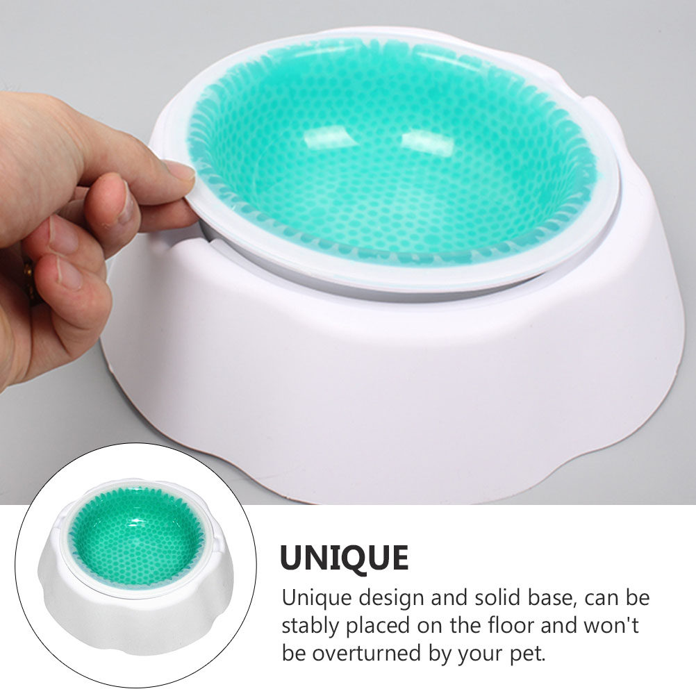 1Pcs Pet Cooler Bowl Premium P - Storage Tips For Food review and price