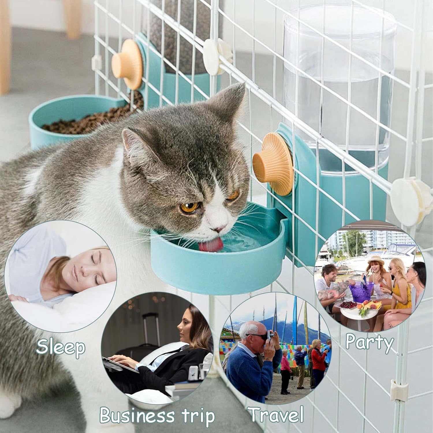 New Tepy Hanging Automatic Pet - Portion Control Container review and price