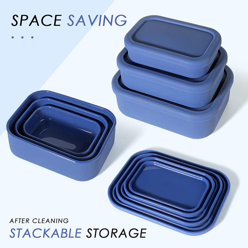 Leak-Resistant Bento Lunch Box - Food Storage Containers B&M review and price