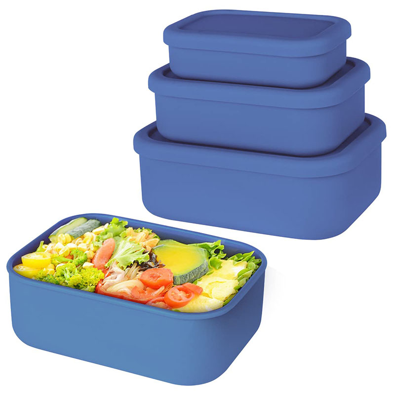 Leak-Resistant Bento Lunch Box - Food Storage Containers B&M review and price
