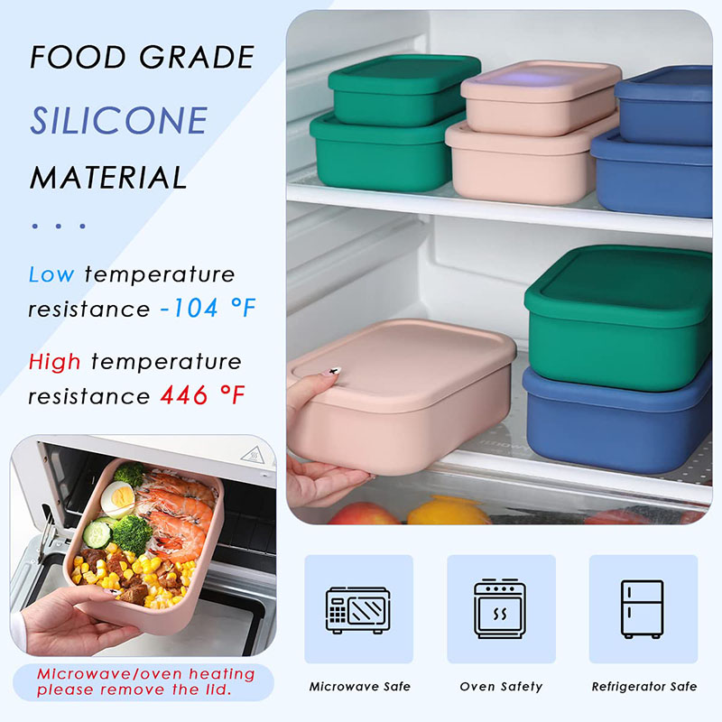 Leak-Resistant Bento Lunch Box - Food Storage Containers B&M review and price