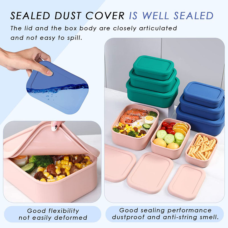 Leak-Resistant Bento Lunch Box - Food Storage Containers B&M review and price