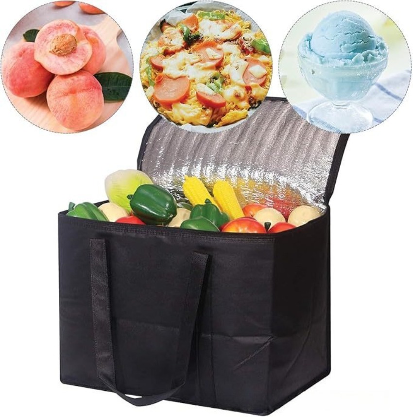 Portable Lunch Cooler Bag Fold - Food Storage Warmer review and price