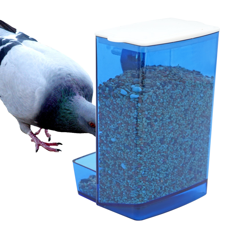 Automatic Bird Feeder Parrot Q - Portion Control Container review and price