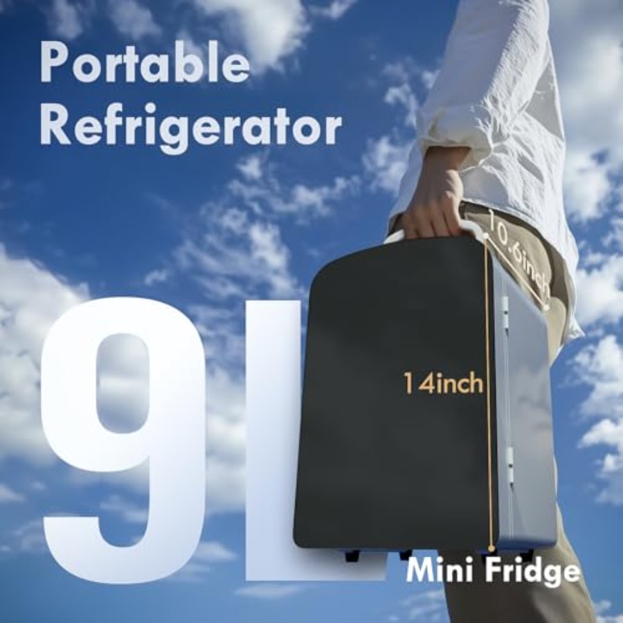 9L Mini Fridge for Bedroom Car - Portable Food Warmer review and price